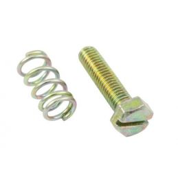 Fast Idle Screw and Spring