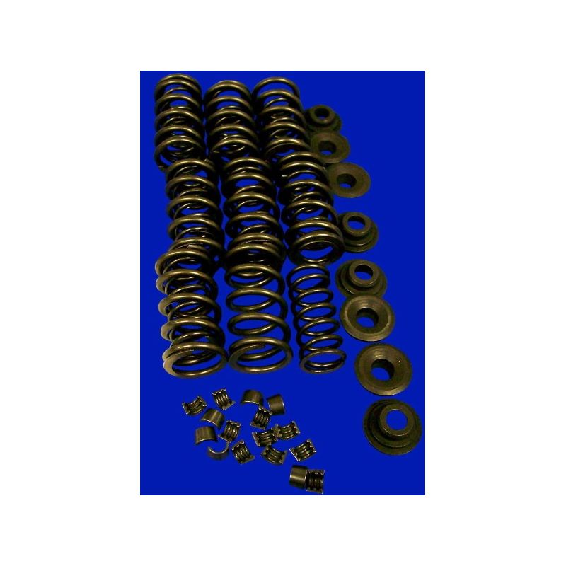 Dual Valve Springs; Kit(springs
