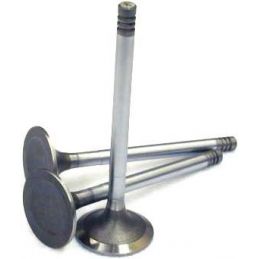 Intake Valves; 41mm