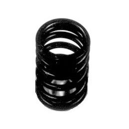 Valve Springs