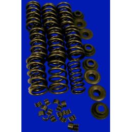 Dual Valve Springs; Kit(springs