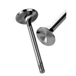 Stainless Steel Valves; 37.5mm (4)