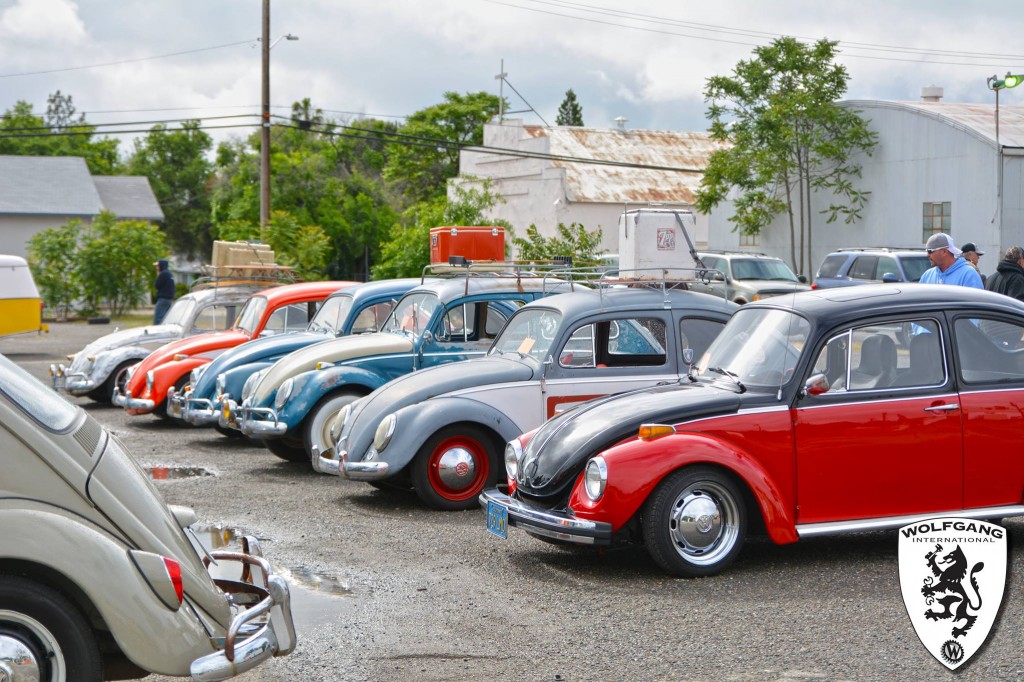 5th Annual Show & Shine Recap